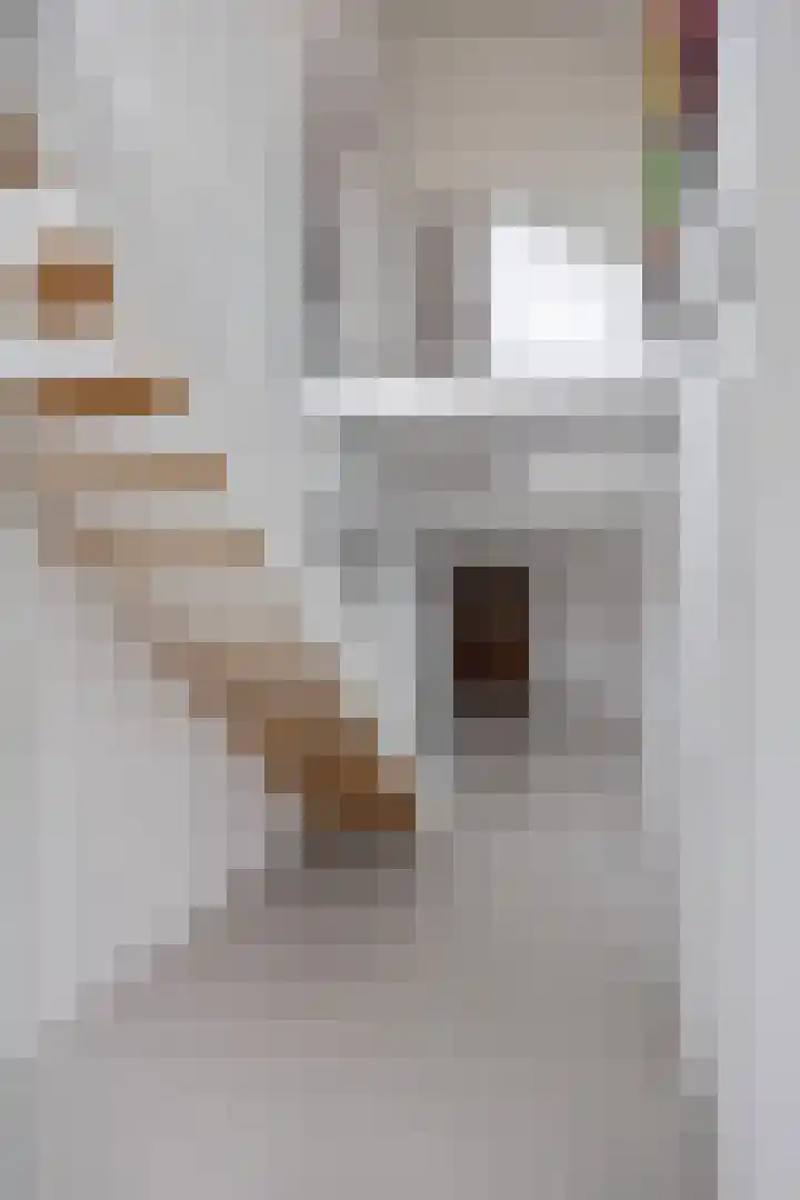 Waldadrift 8 Bedum thumbnail 13