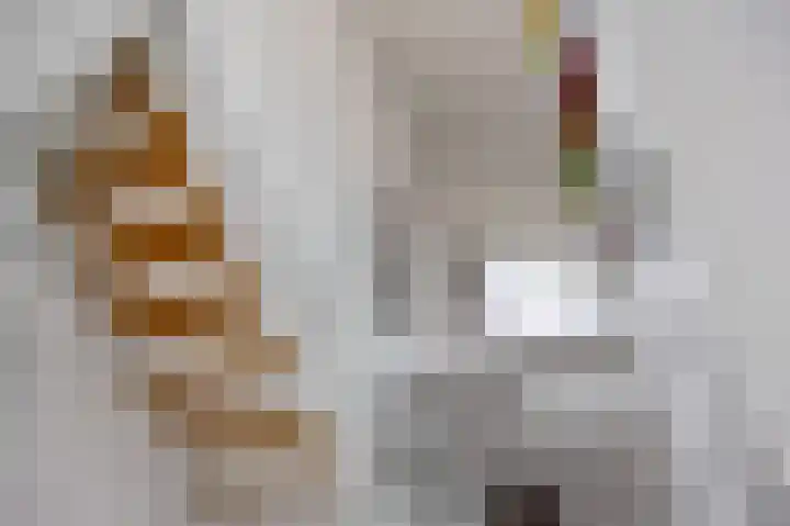 Waldadrift 8 Bedum thumbnail 16