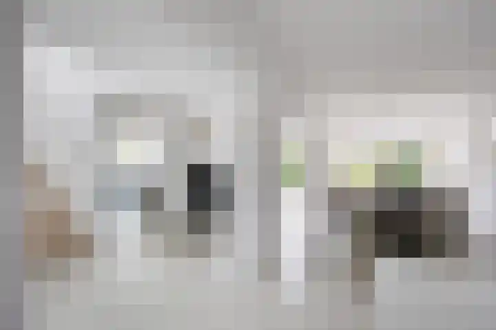 Waldadrift 8 Bedum thumbnail 17
