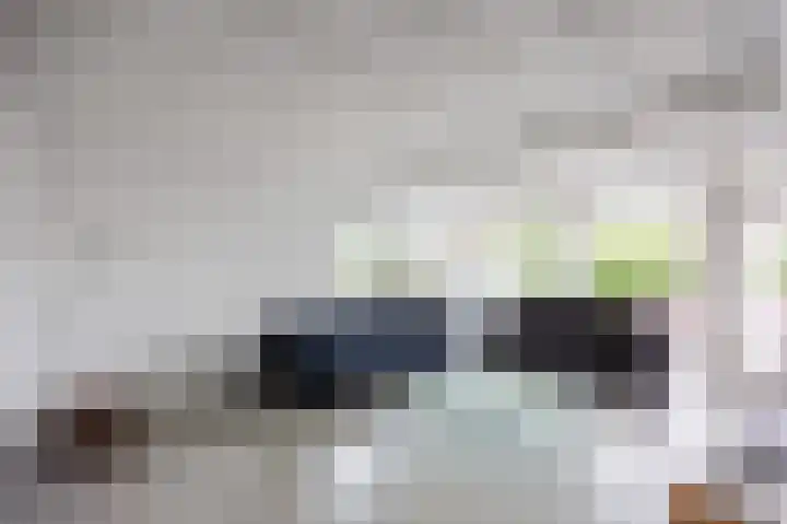 Waldadrift 8 Bedum thumbnail 19