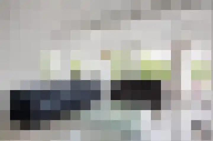 Waldadrift 8 Bedum thumbnail 20
