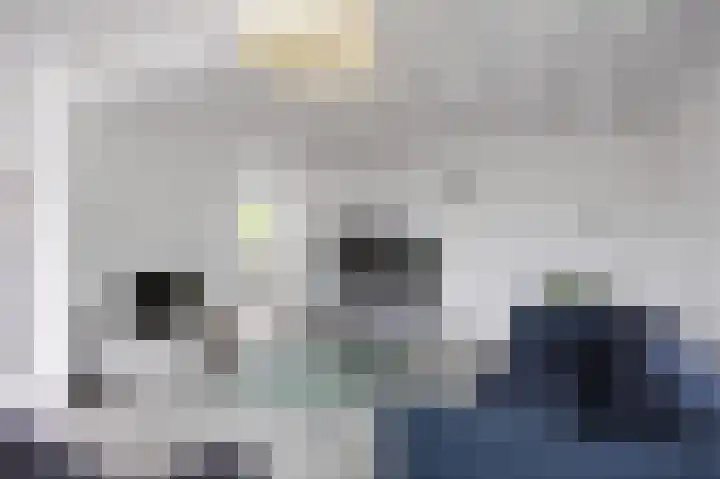 Waldadrift 8 Bedum thumbnail 22