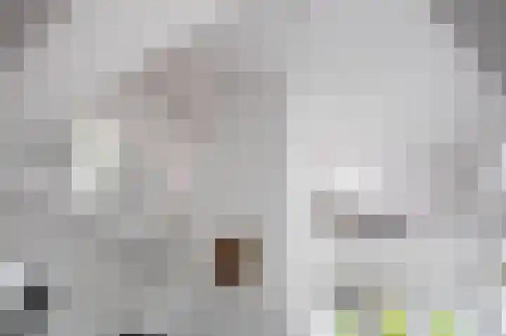 Waldadrift 8 Bedum thumbnail 25
