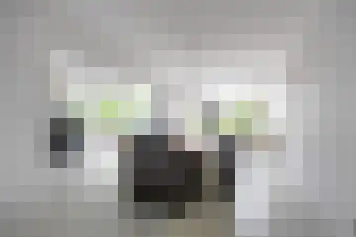 Waldadrift 8 Bedum thumbnail 29