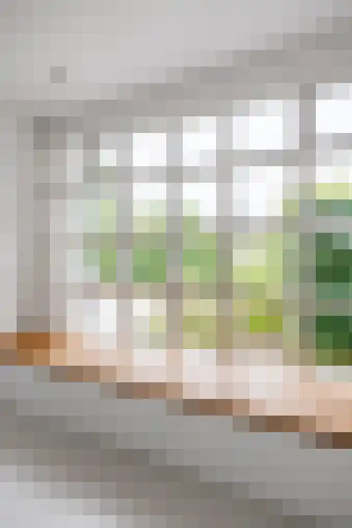 Waldadrift 8 Bedum thumbnail 30