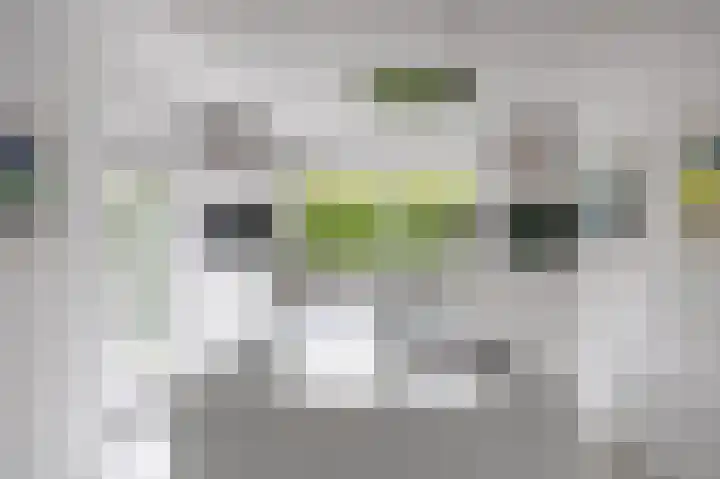 Waldadrift 8 Bedum thumbnail 36