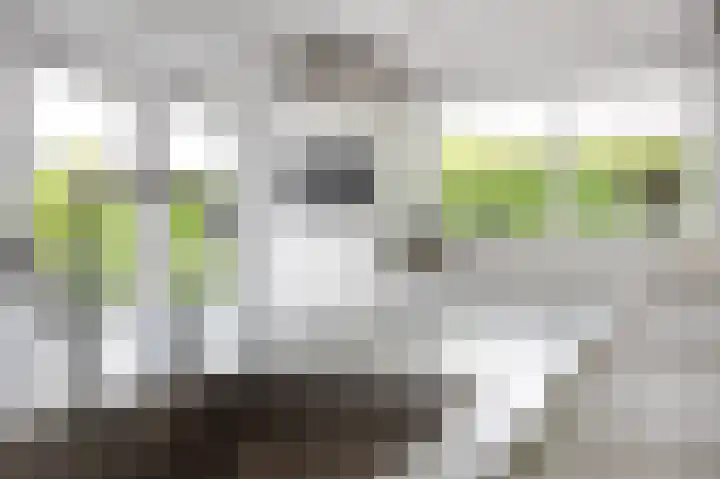 Waldadrift 8 Bedum thumbnail 37