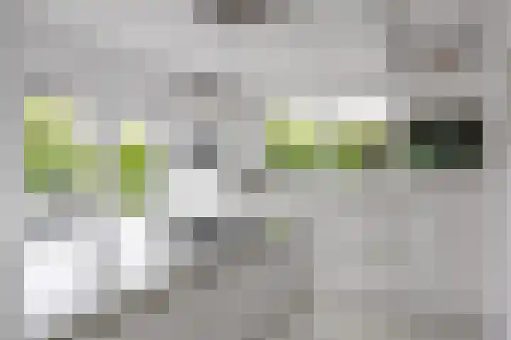 Waldadrift 8 Bedum thumbnail 38