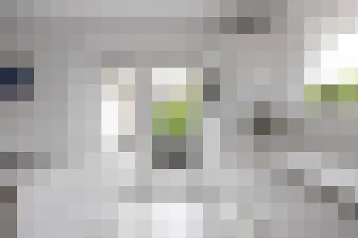 Waldadrift 8 Bedum thumbnail 39
