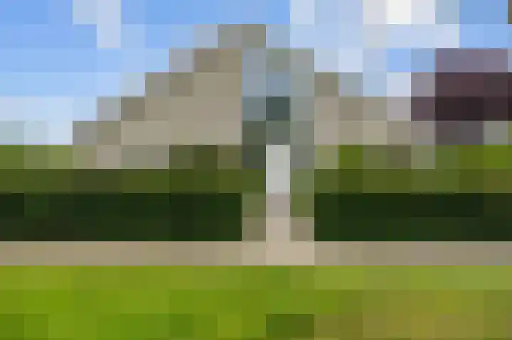 Waldadrift 8 Bedum thumbnail 4
