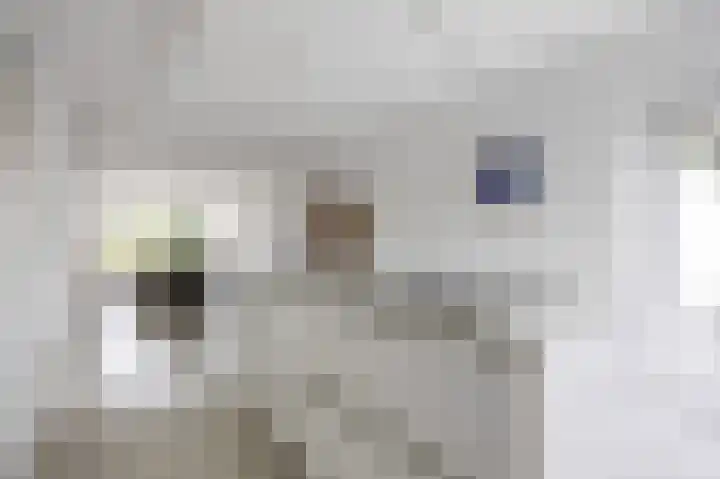 Waldadrift 8 Bedum thumbnail 40