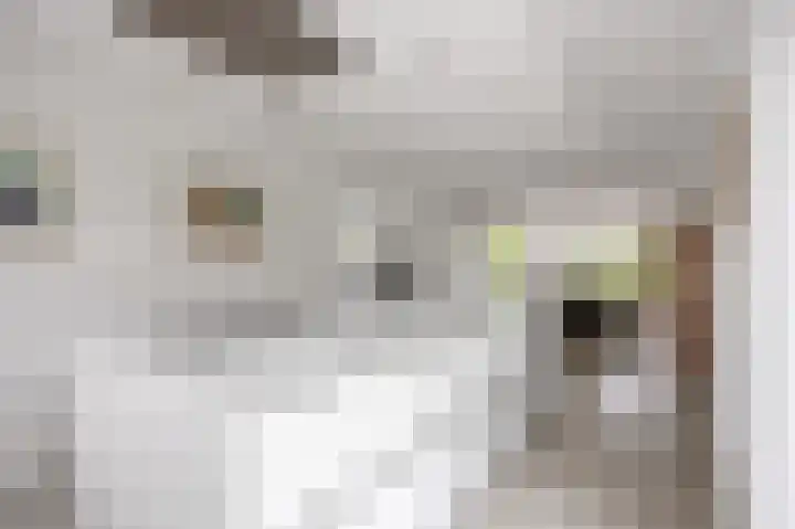 Waldadrift 8 Bedum thumbnail 41