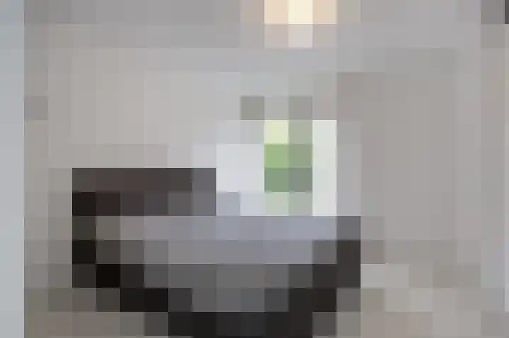 Waldadrift 8 Bedum thumbnail 42