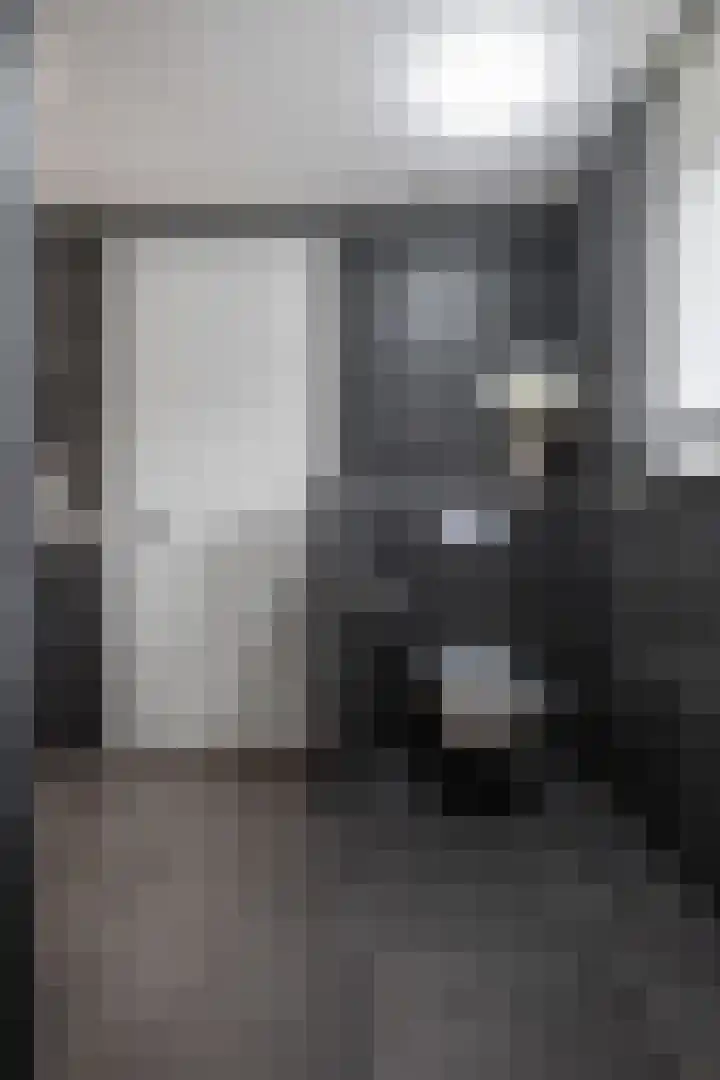 Waldadrift 8 Bedum thumbnail 45