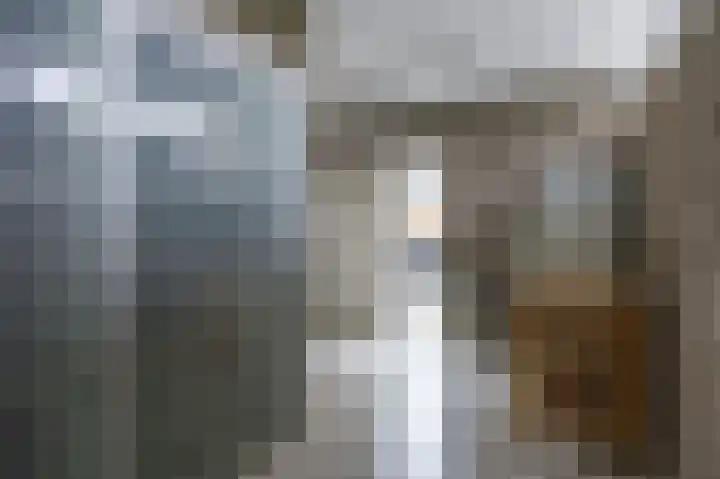 Waldadrift 8 Bedum thumbnail 46
