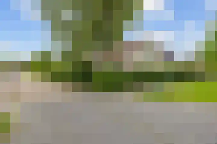Waldadrift 8 Bedum thumbnail 5