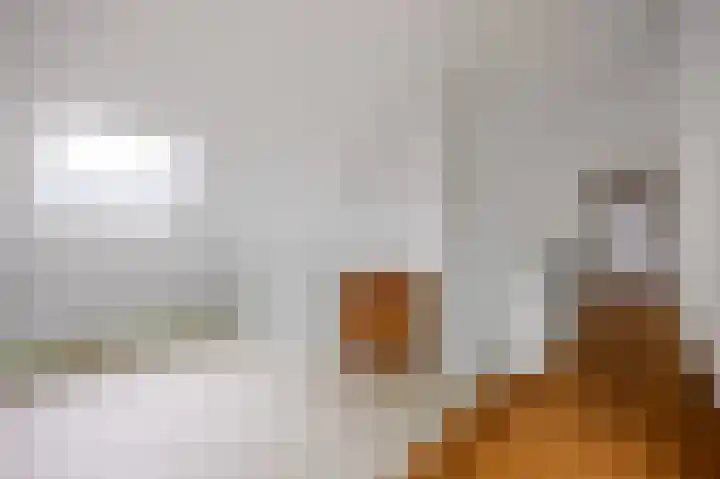 Waldadrift 8 Bedum thumbnail 53