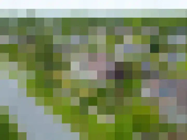 Waldadrift 8 Bedum thumbnail 6