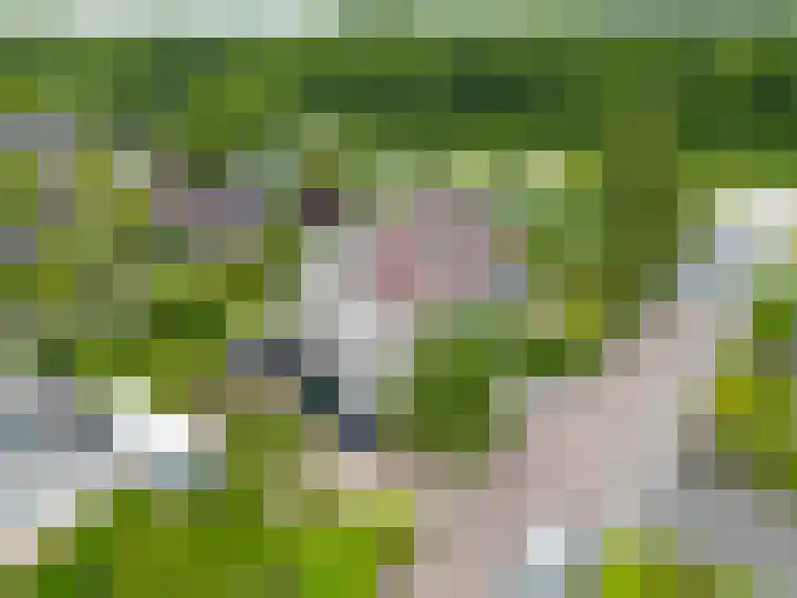 Waldadrift 8 Bedum thumbnail 7