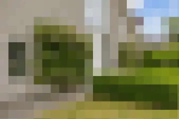 Waldadrift 8 Bedum thumbnail 73