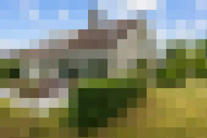 Waldadrift 8 Bedum thumbnail 74