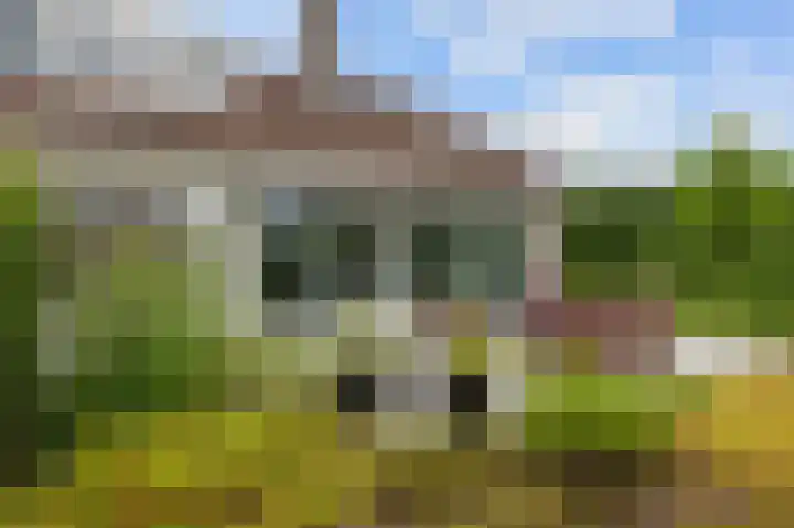 Waldadrift 8 Bedum thumbnail 75