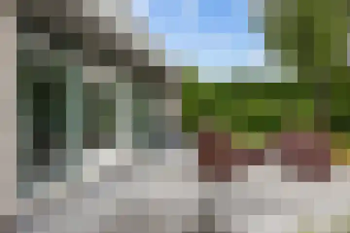 Waldadrift 8 Bedum thumbnail 76