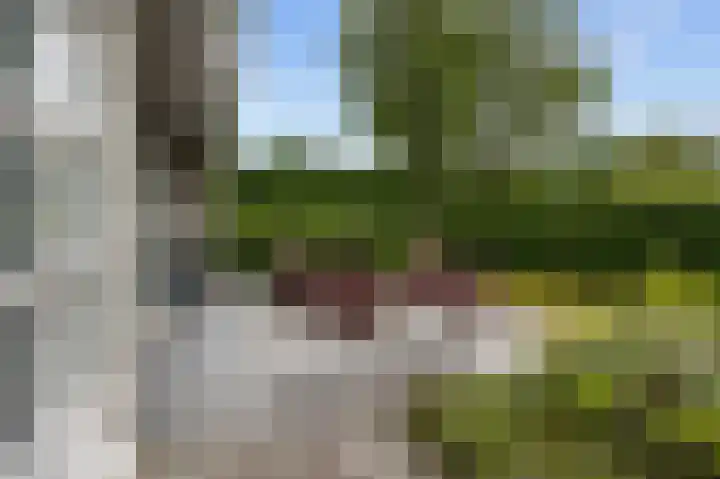 Waldadrift 8 Bedum thumbnail 77
