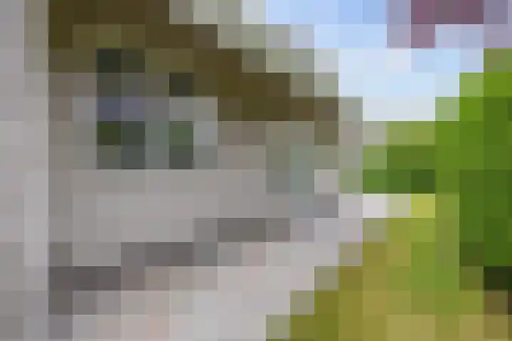 Waldadrift 8 Bedum thumbnail 78