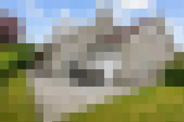 Waldadrift 8 Bedum thumbnail 79