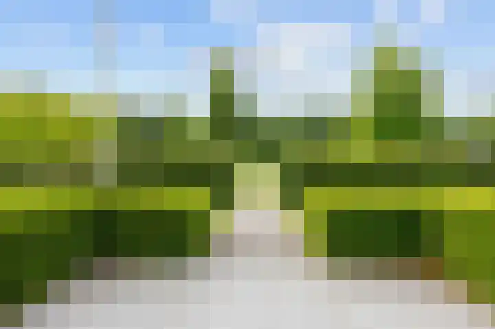 Waldadrift 8 Bedum thumbnail 80