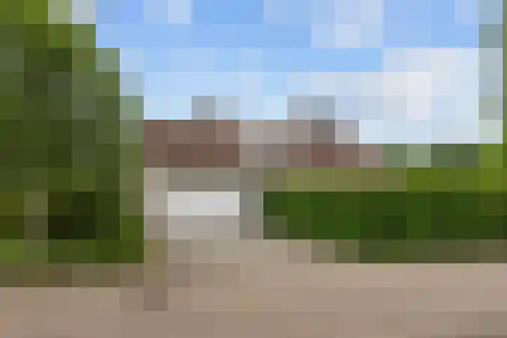 Waldadrift 8 Bedum thumbnail 9