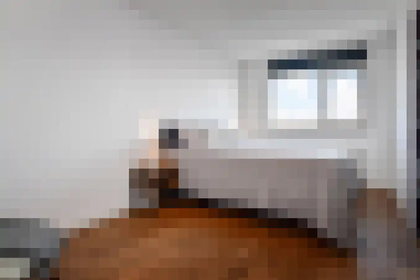 Waldeck Pyrmontkade 101 Den Haag thumbnail 14