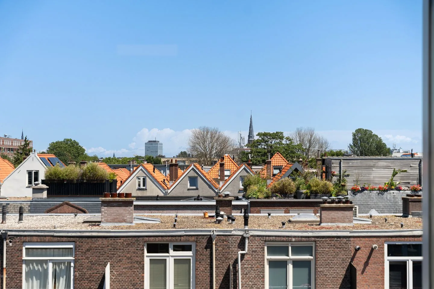 Waldeck Pyrmontkade 14 Den Haag thumbnail 36