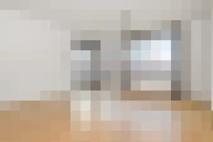 Waldeck Pyrmontkade 22 Den Haag thumbnail 11