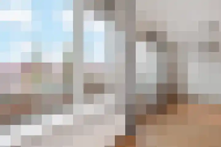 Waldeck Pyrmontkade 22 Den Haag thumbnail 15