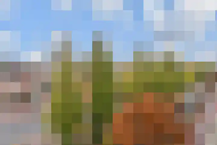 Waldeck Pyrmontkade 22 Den Haag thumbnail 37