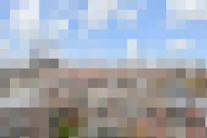 Waldeck Pyrmontkade 22 Den Haag thumbnail 42