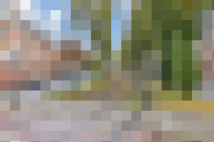 Waldeck Pyrmontkade 22 Den Haag thumbnail 43