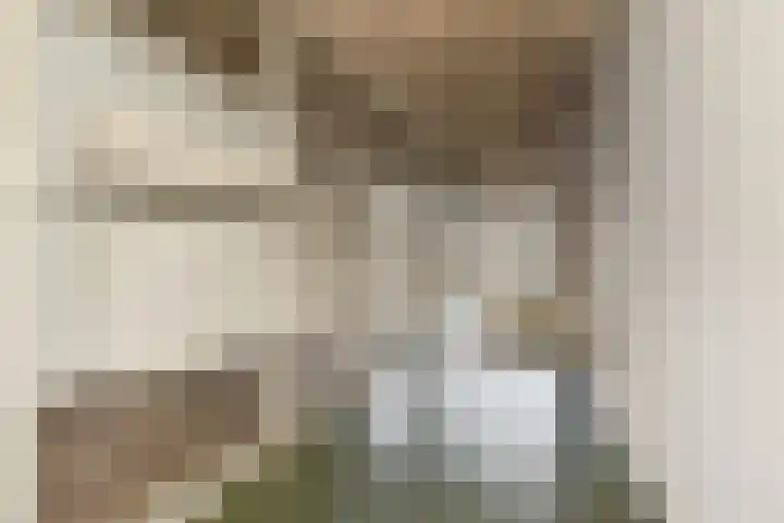 Waldeck Pyrmontkade 22 Den Haag thumbnail 5