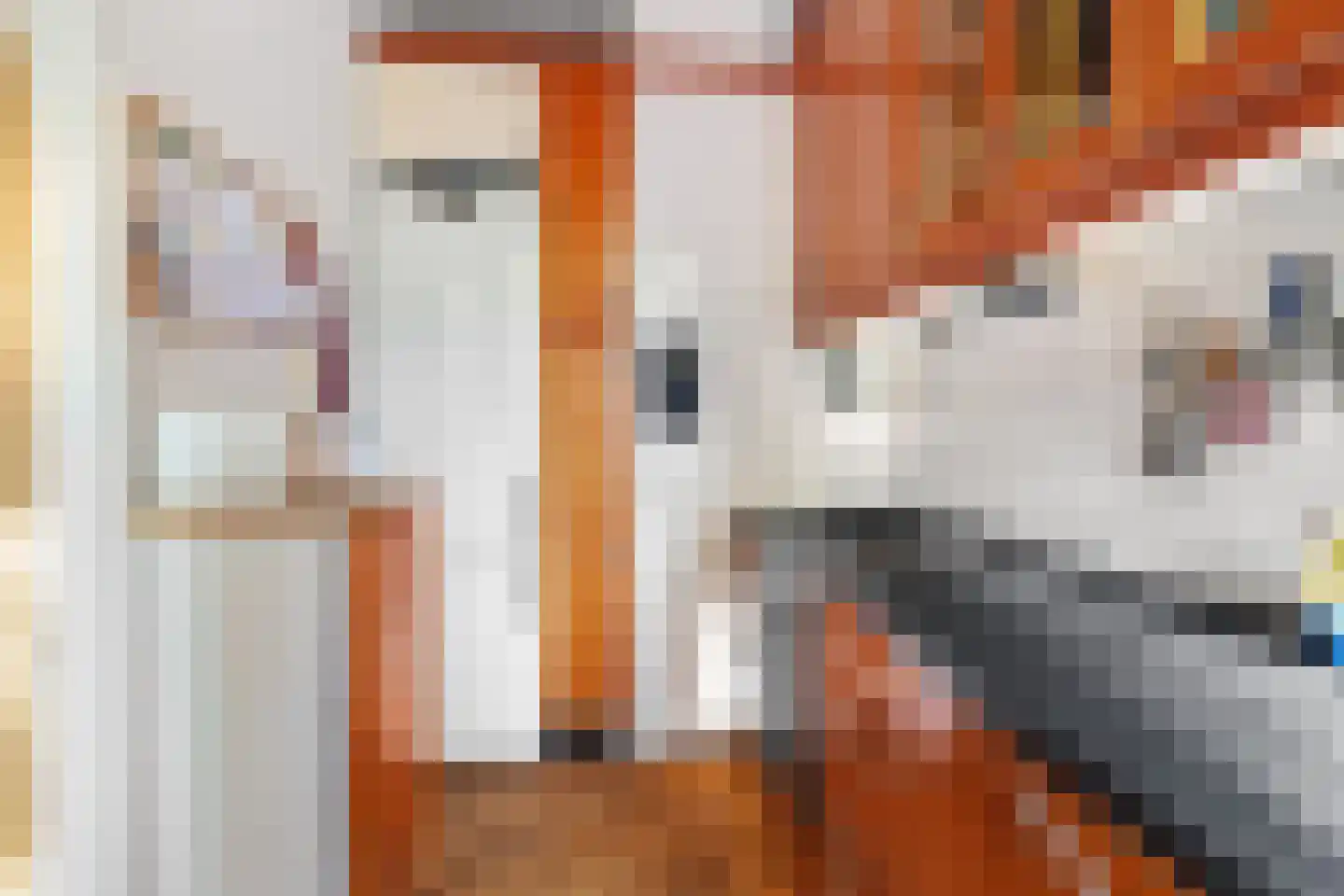 Waldeck Pyrmontkade 23 Den Haag thumbnail 18