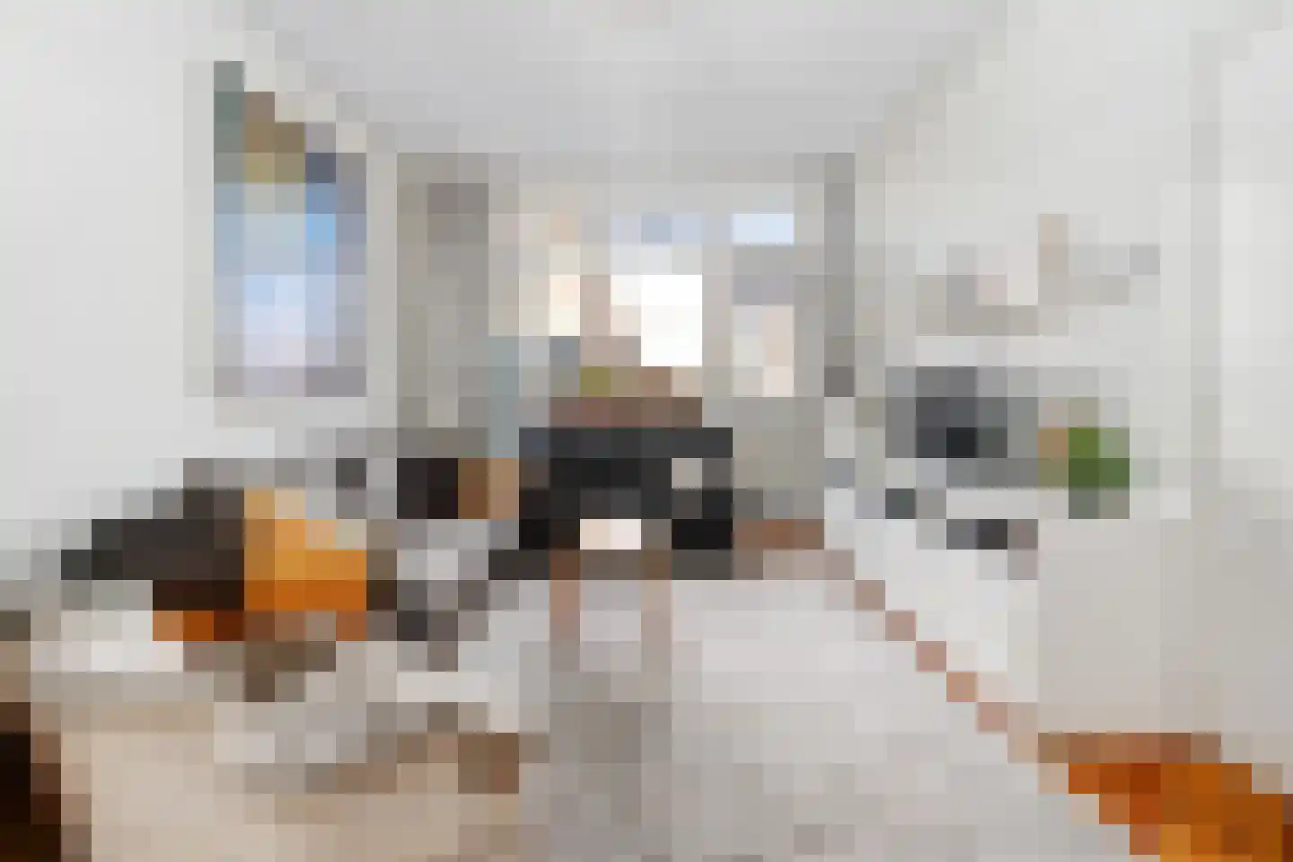 Waldeck Pyrmontkade 23 Den Haag thumbnail 21