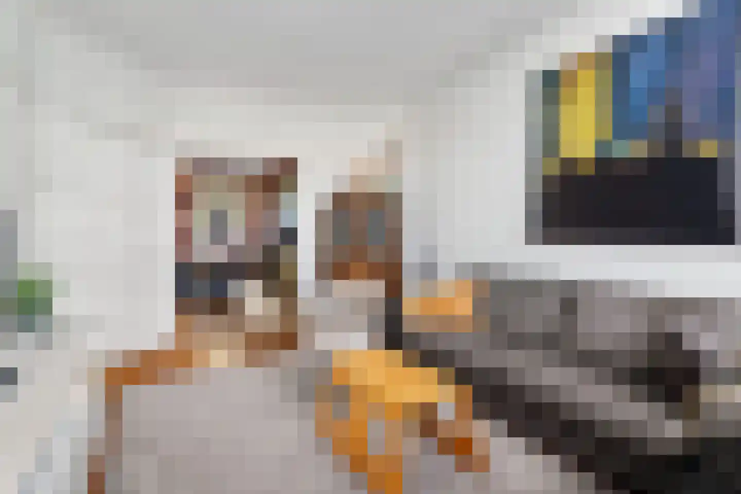 Waldeck Pyrmontkade 23 Den Haag thumbnail 22
