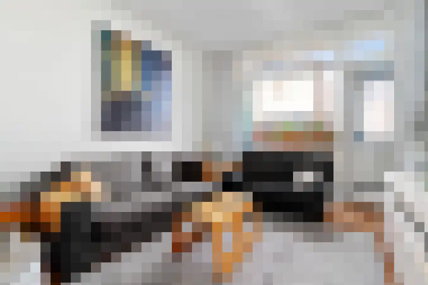 Waldeck Pyrmontkade 23 Den Haag thumbnail 23