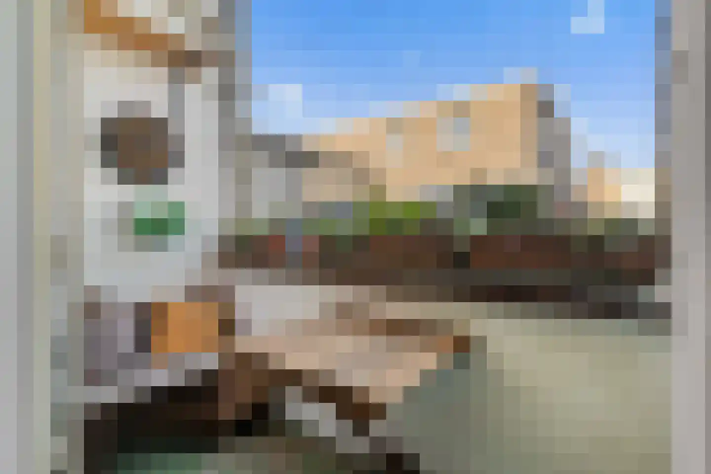 Waldeck Pyrmontkade 23 Den Haag thumbnail 24