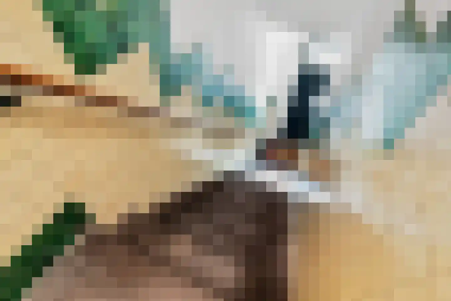 Waldeck Pyrmontkade 23 Den Haag thumbnail 9