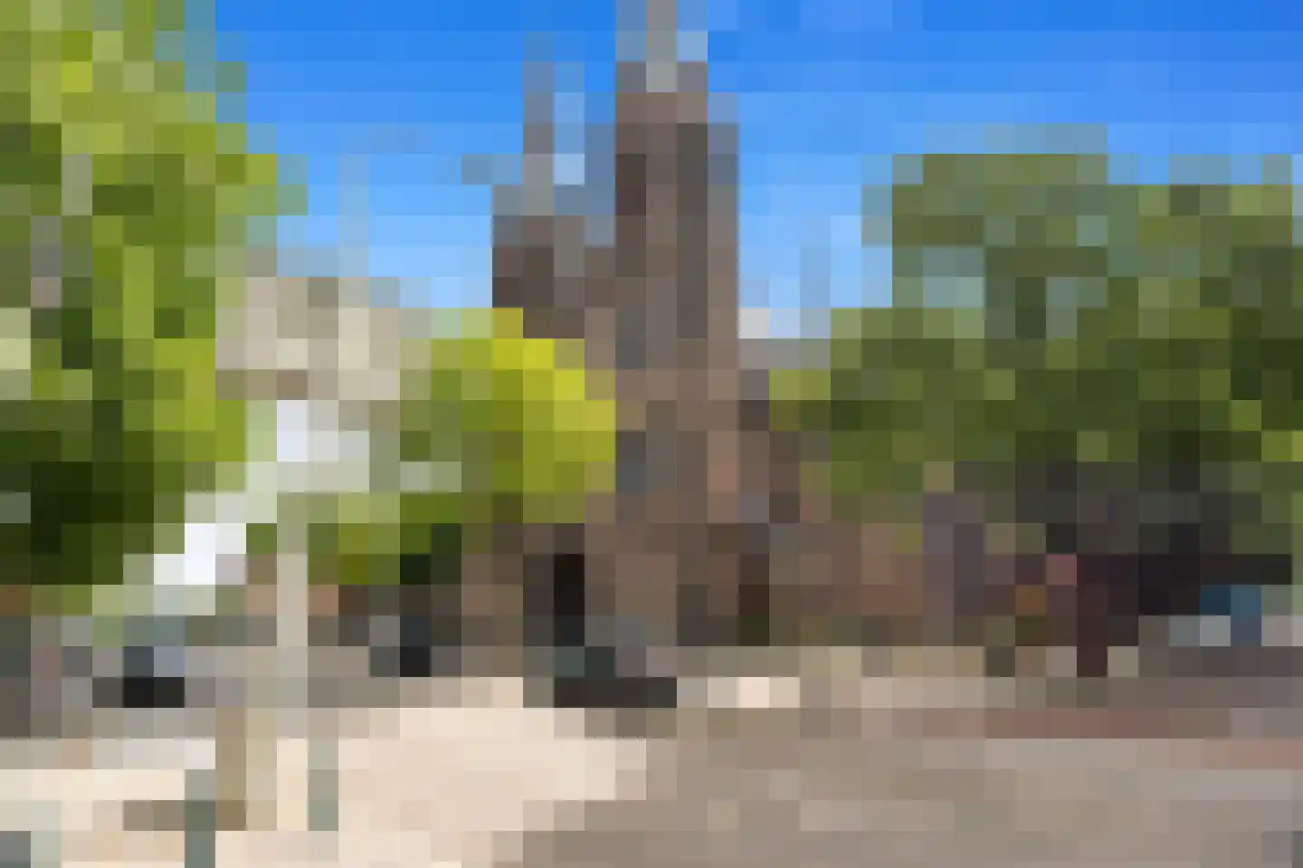 Waldeck Pyrmontkade 411 Den Haag thumbnail 26
