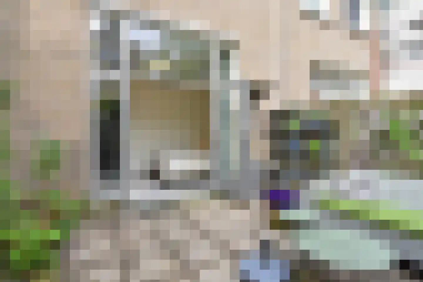 Waldeck Pyrmontkade 418 Den Haag thumbnail 19