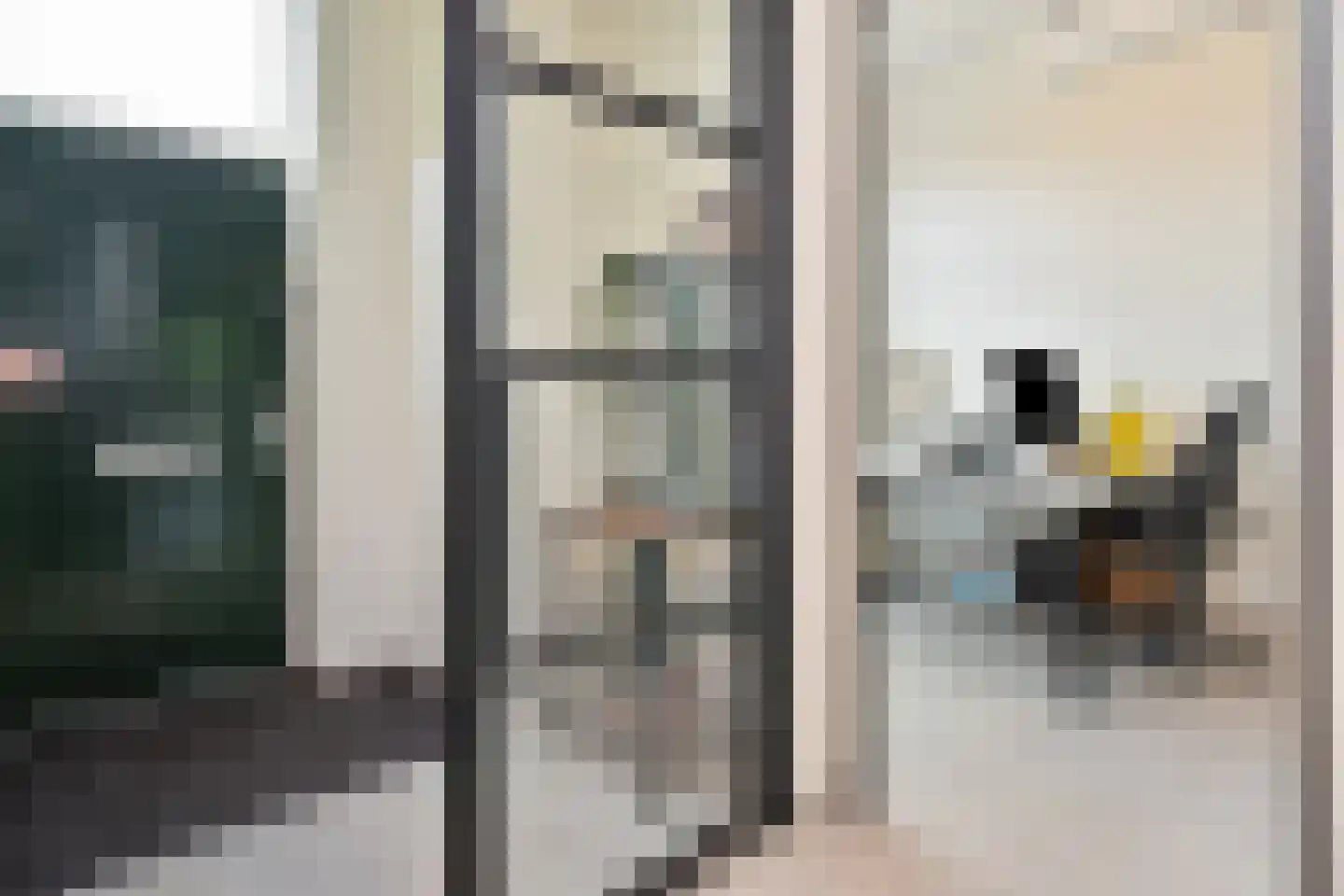 Waldeck Pyrmontkade 418 Den Haag thumbnail 8