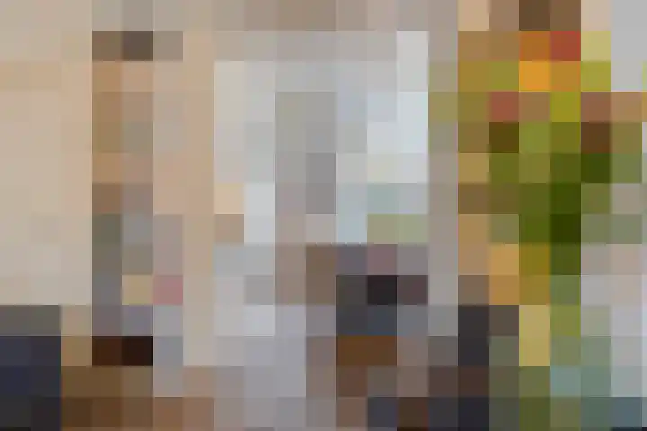 Waldeck Pyrmontkade 447 Den Haag thumbnail 11